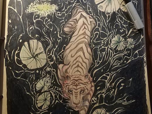 插画临摹《热带雨林》