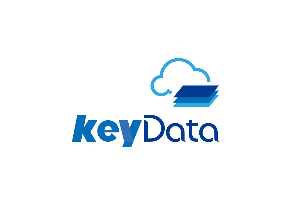 一家数据服务软件开发公司logo和产品logo设计