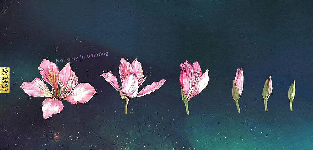 柳州-花开 等你来（图ZMTUzNzAzNDI0） - 其他 - 站酷设计师玲珑绘ZLX原创素材 - 站酷ZCOOL