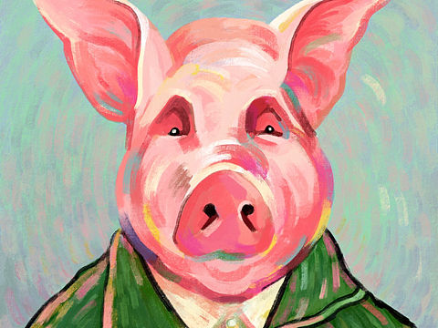 hello piggy