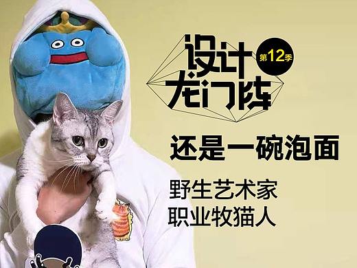 还是一碗泡面：野生艺术家 职业牧猫人