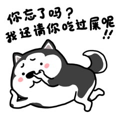 二哈萌柴（微信表情包）（图ZODc3MzI5NDQ=） - 网络表情 - 站酷设计师YMCStudio原创素材 - 站酷ZCOOL