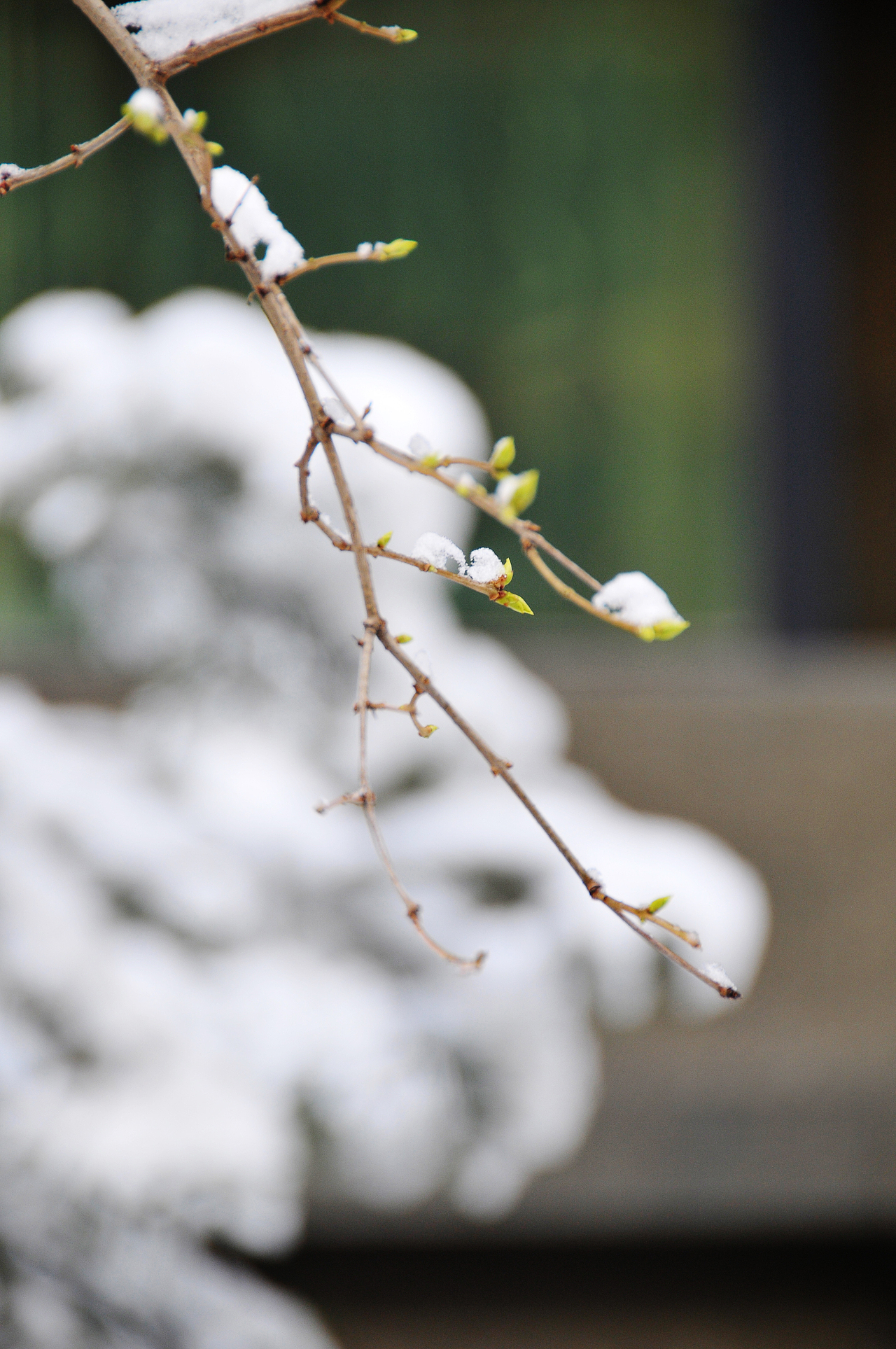 春分（图ZODY5NDkyNA==） - 风光摄影 - 站酷设计师malintony原创素材 - 站酷ZCOOL