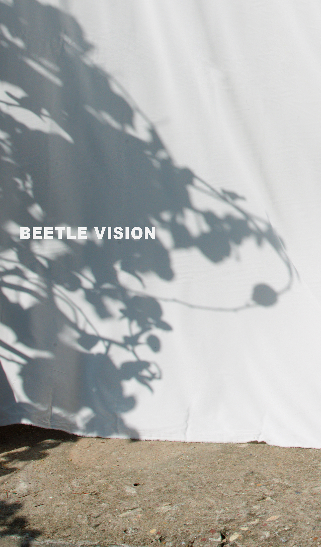 在家附近的一面墙拍的服装形象片（图ZMjUzNDA0MjU2） - 人像摄影 - 站酷设计师Beetle摄影师原创素材 - 站酷ZCOOL