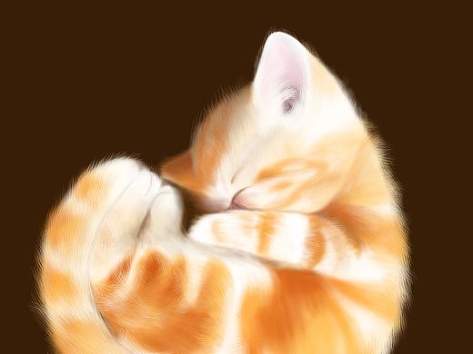 手绘-猫咪系列