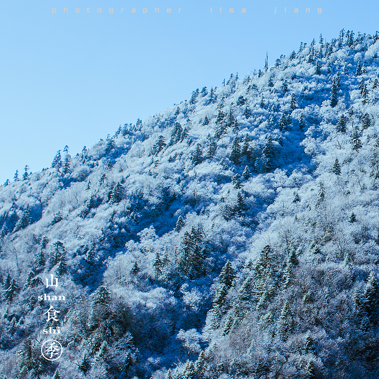 小品四季（图ZMTA4NTgyNTg4） - 产品摄影 - 站酷设计师挲lisa原创素材 - 站酷ZCOOL