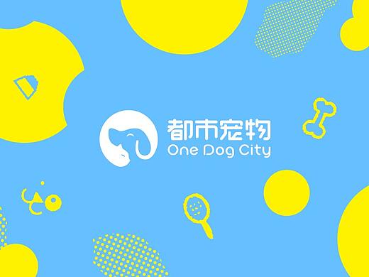 关于宠物那些事~平面