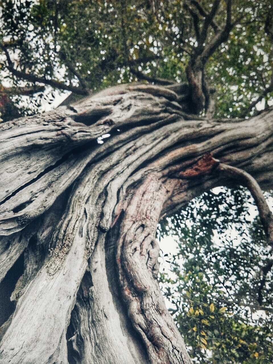 记录自己的生活