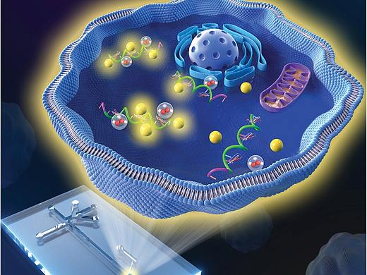 杂志封面设计科研画图TOC示意图学术文章配图SCI绘图（个人主页-ZNTYwOTA5ODg=） - 其他三维 - 站酷设计师北京中科幻彩原创素材 - 站酷ZCOOL
