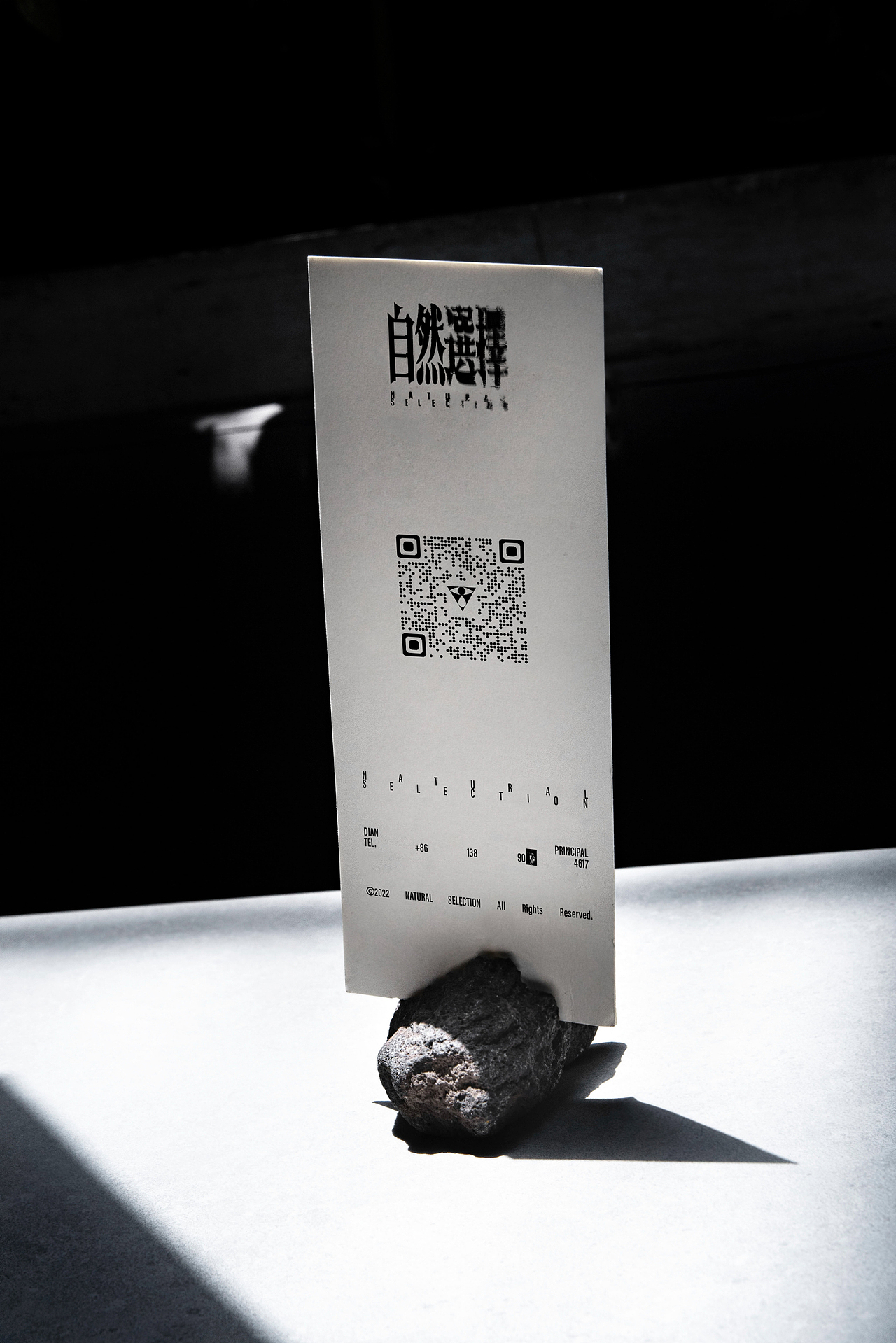 自然选择 精酿 酒吧 NATURAL SELECTION TAPROOM（图ZMjk1NjE3MjQ0） - 品牌 - 站酷设计师GEZI鸽子原创素材 - 站酷ZCOOL