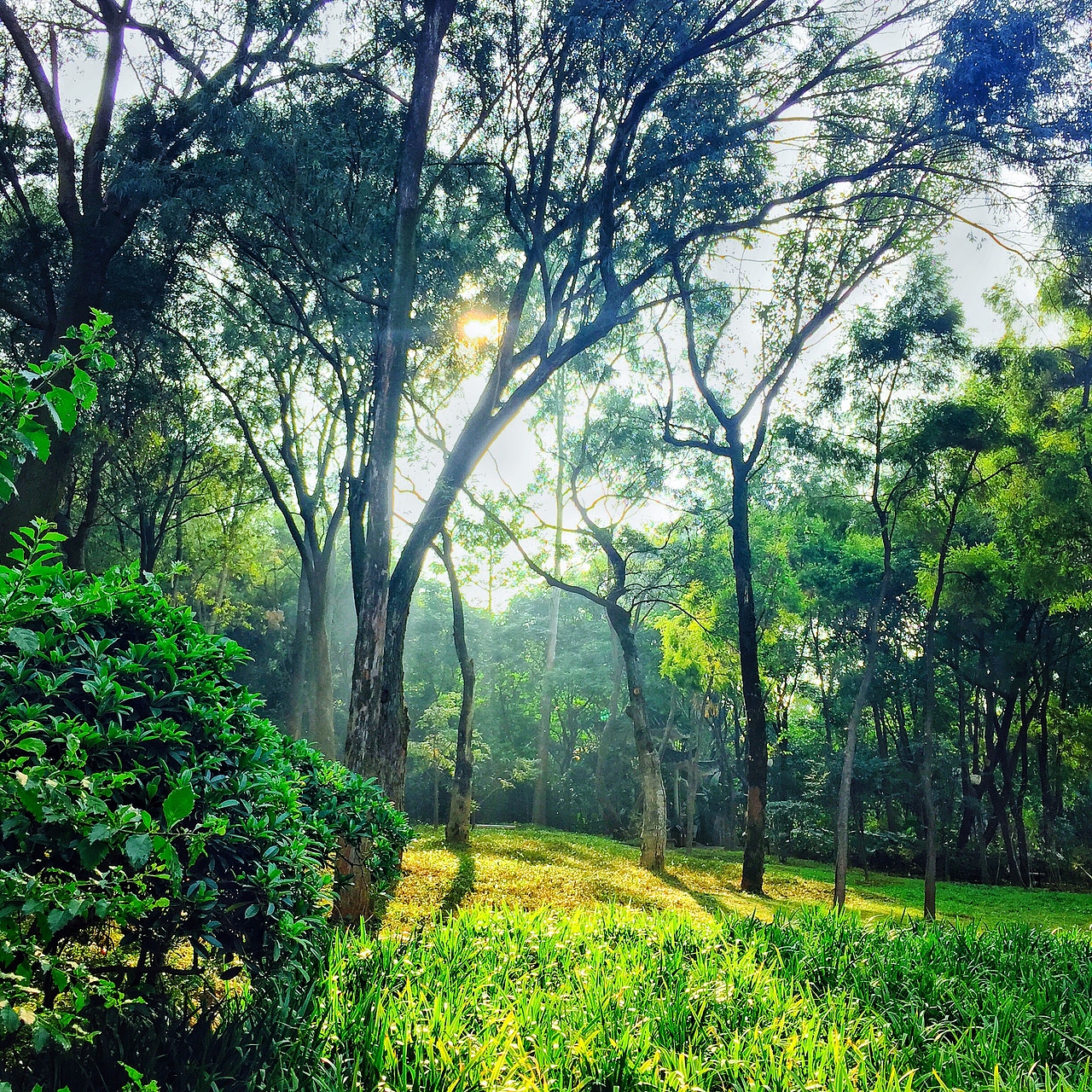 深圳蓮花山（圖ZNjk0MzEzMTI=） - 風光攝影 - 站酷設計師chenzehui原創(chuàng)素材 - 站酷ZCOOL