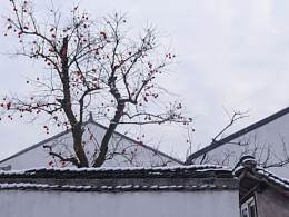 一生岁月 半卷江南