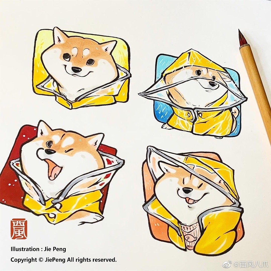 《阿柴枸杞》百犬小合集