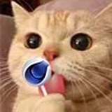 Sunui丶辉的头像