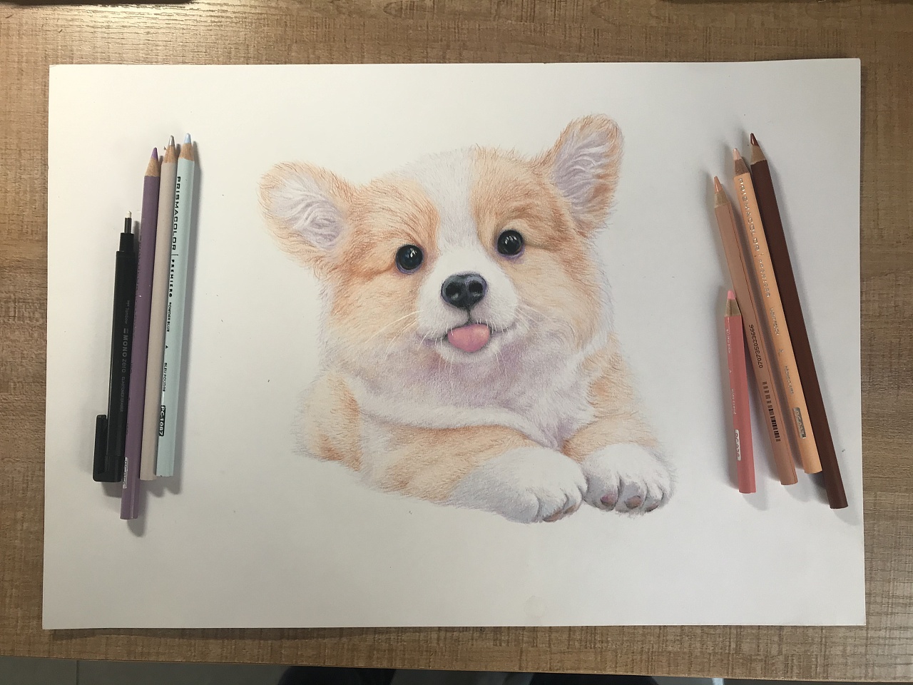 彩铅狗狗|纯艺术|绘画|枭先森 - 原创作品 - 站酷 (zcool)