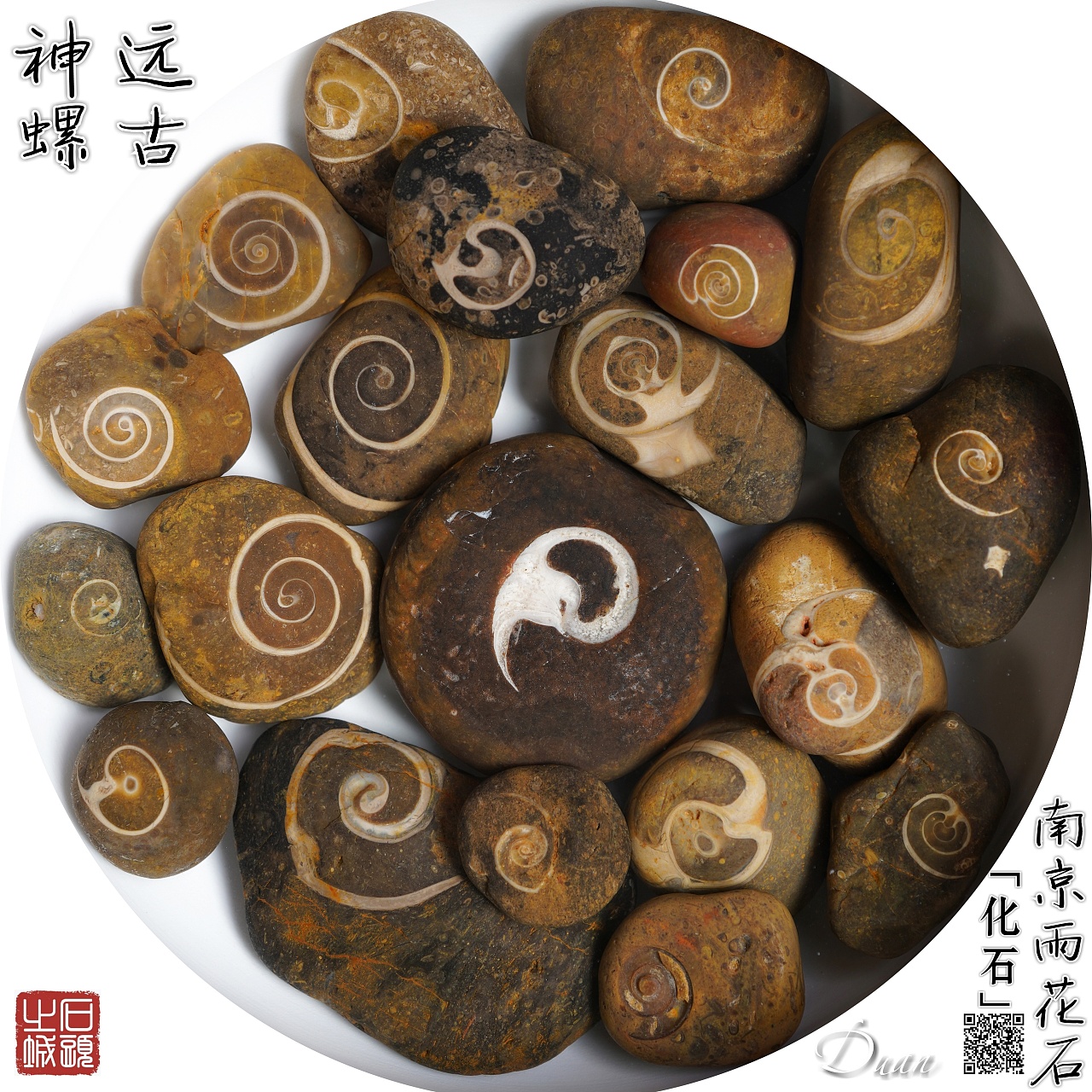 赏中国古代四大名石----太湖石（组图） - 华夏奇石网 - 洛阳市赏石协会官方网站