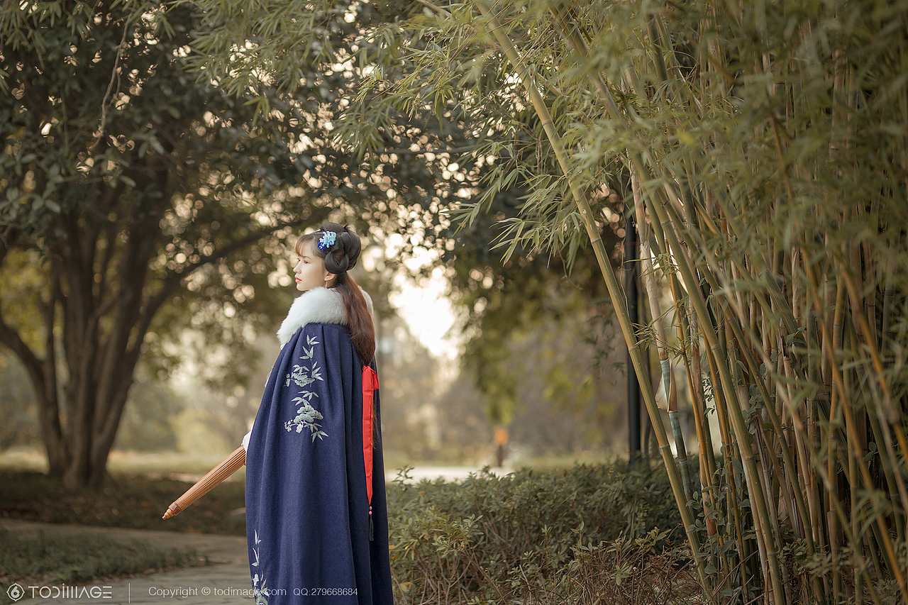 古风人像《阅秋图》