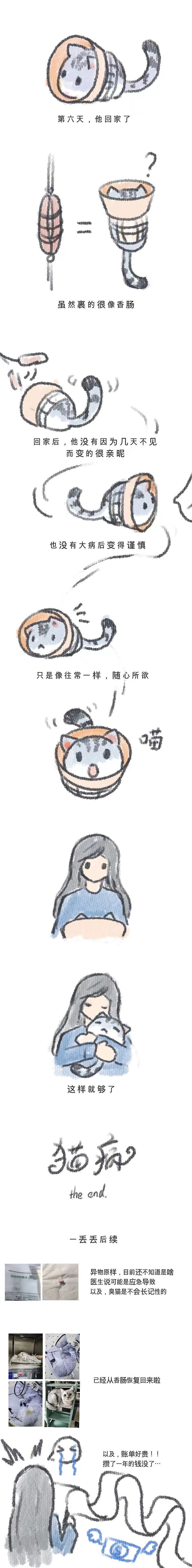 猫病（图ZMzI0MzkwNjgw） - 商业插画 - 站酷设计师暴躁分子kalasu原创素材 - 站酷ZCOOL