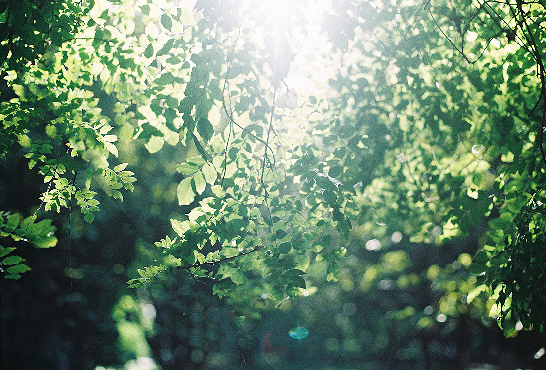 [ 百感胶集 ] 1-9