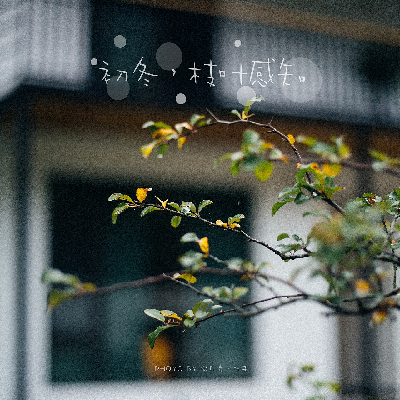 初冬九华山（图ZMTg1MjAwODky） - 风光摄影 - 站酷设计师linguifeng原创素材 - 站酷ZCOOL