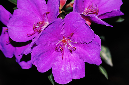 周末出去骑行的随拍