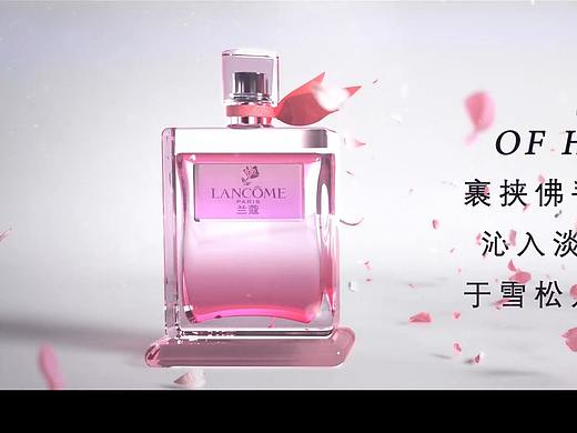 临摹练习 兰蔻