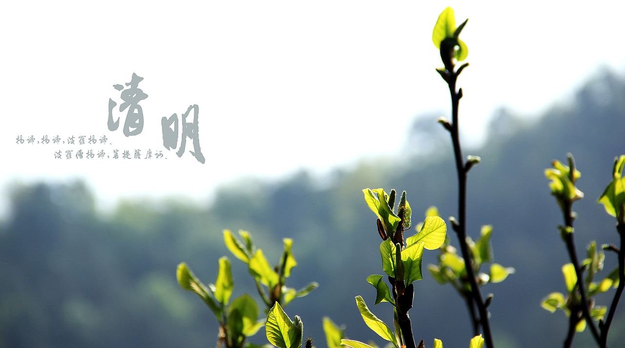 大桥下的石头（图ZODkzMzkyOA==） - 风光摄影 - 站酷设计师半道子原创素材 - 站酷ZCOOL