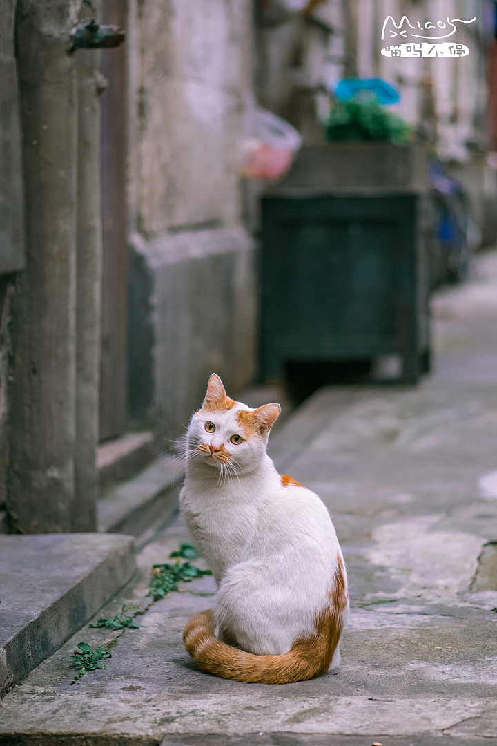 若你能听见 岁月的拨弦
依然能感觉 你从未消失过<br>一直在我身边<br><br>——《逝去的歌》旅行团<br>