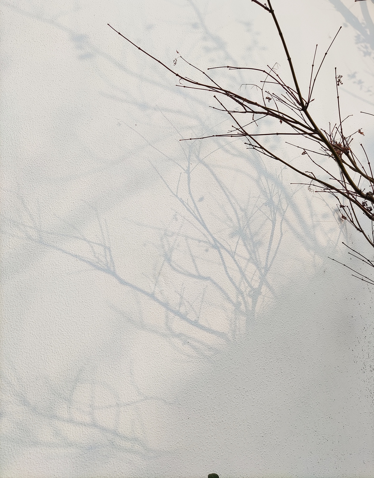 手机拍摄（图ZMjQyMDM5NDI0） - 产品摄影 - 站酷设计师191436255原创素材 - 站酷ZCOOL