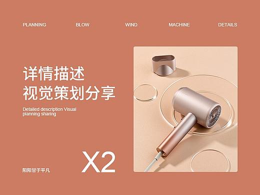 详情案例分享X2
