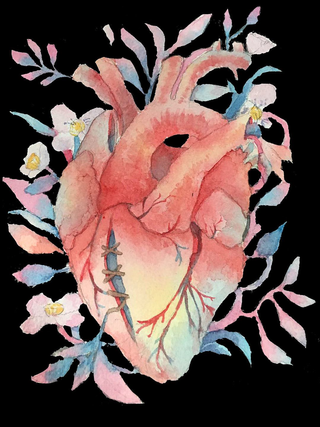 261.心脏的外形和血管 (前面观)-基础医学-医学