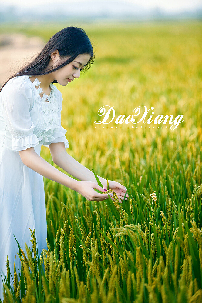 稻香（图ZMzU0NjExNTY=） - 人像摄影 - 站酷设计师xjtomb原创素材 - 站酷ZCOOL