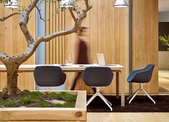 ALKI全球家居新时尚!