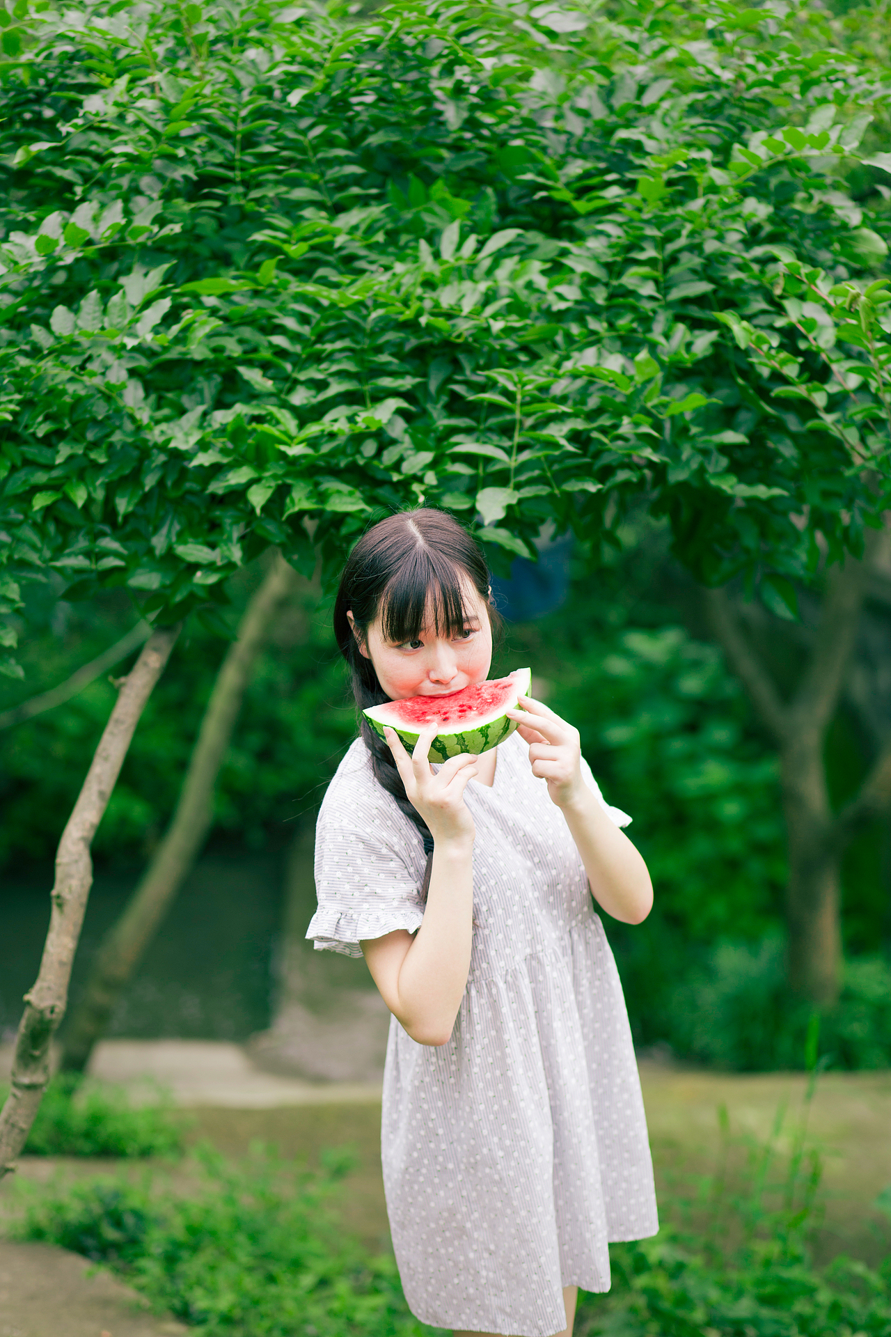 半夏的西瓜少女