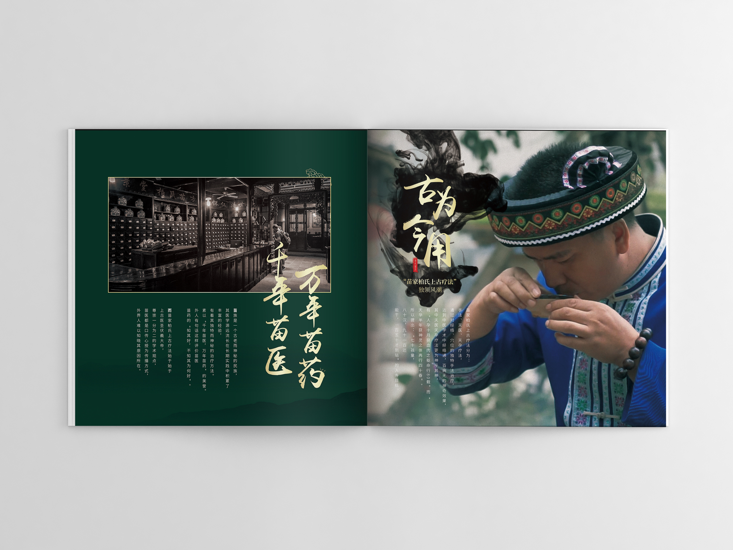 苗医养生品牌画册|平面|书装/画册|mizi品牌设计