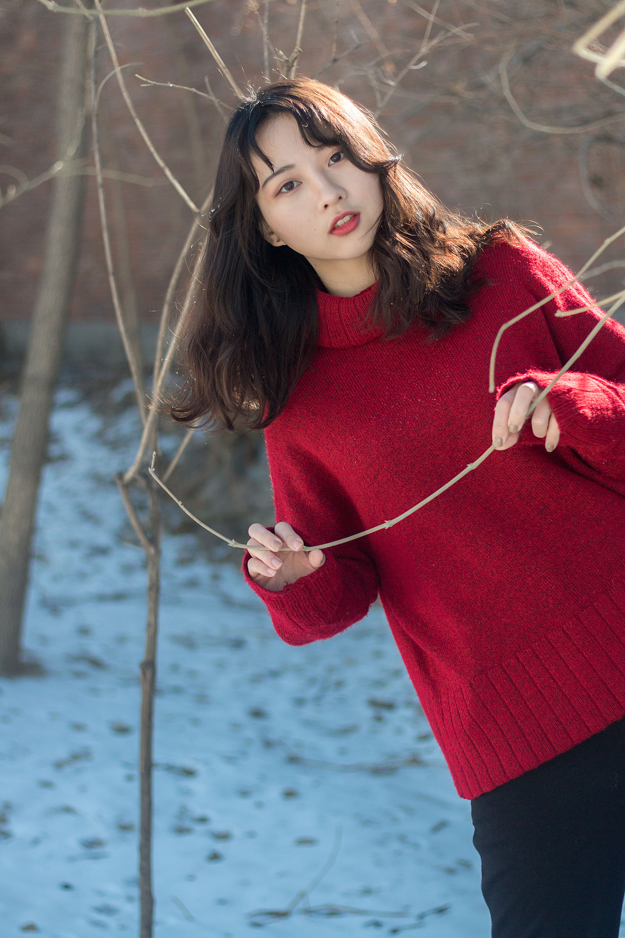 春日里的那场雪