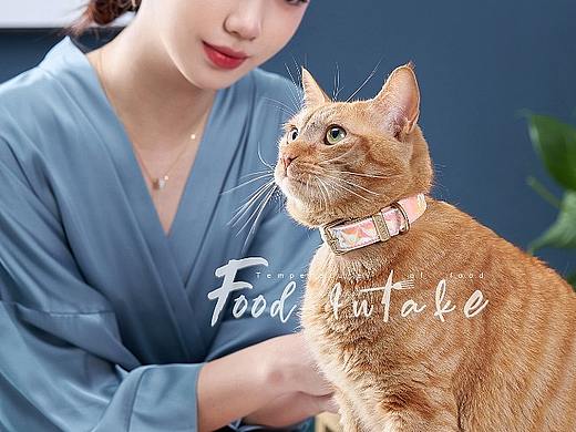 静物摄影 | 猫&它的项链 ✖ 上海摄食度