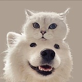 李不俗的头像