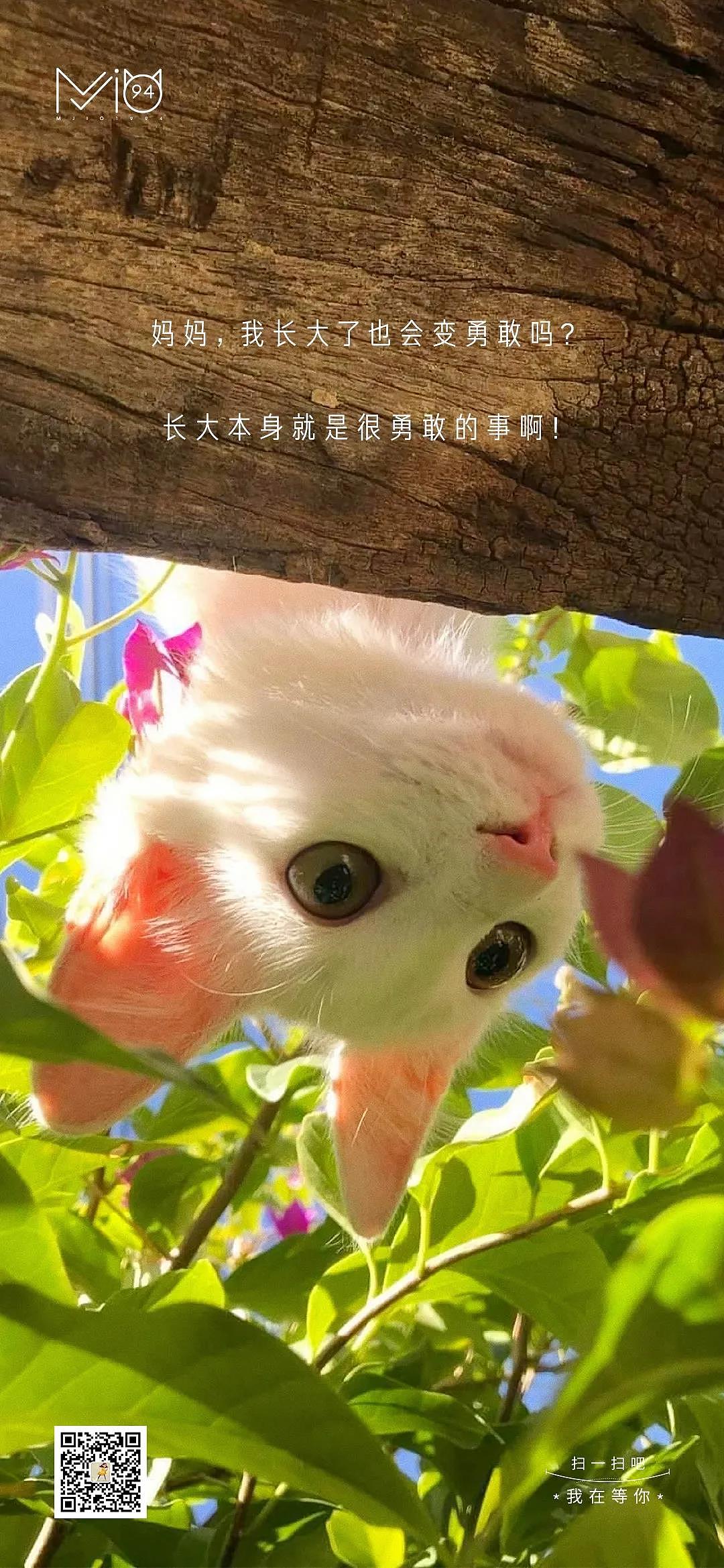 这些小美好·TWELVE