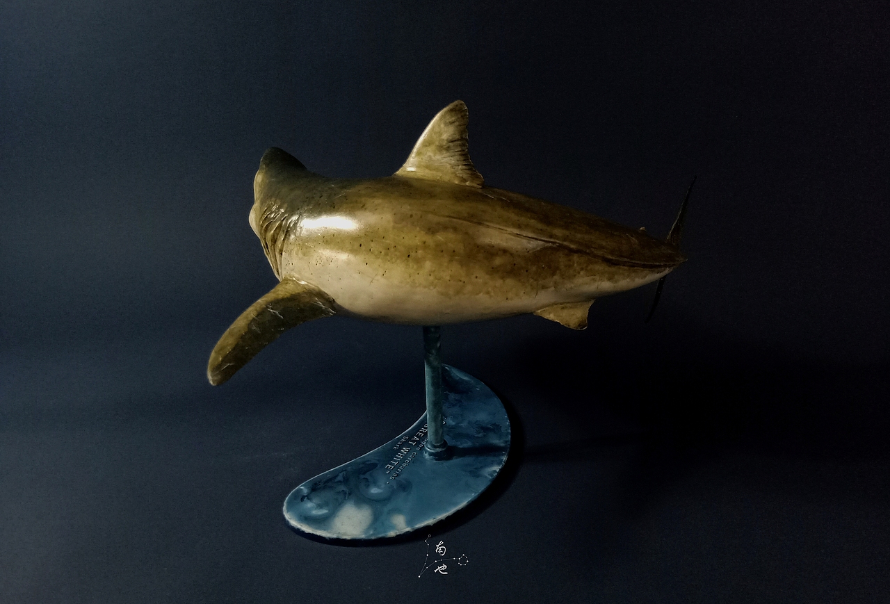 涂装作品丨pegasus hobbies 飞马大白鲨
