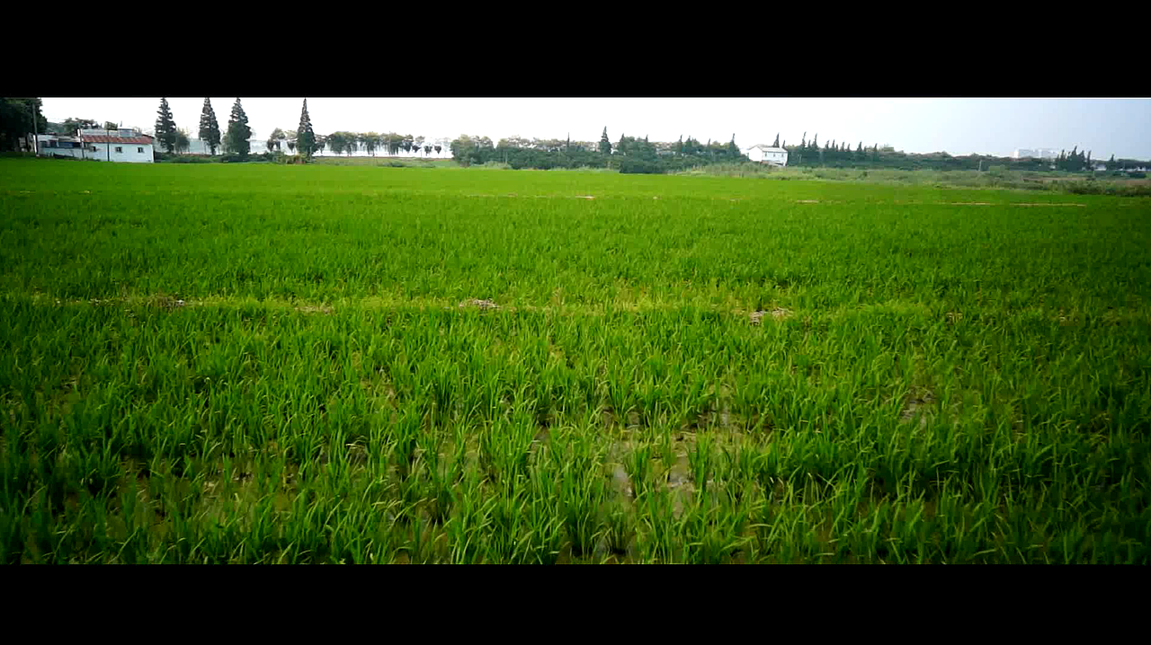 神游中华秘境—锦溪