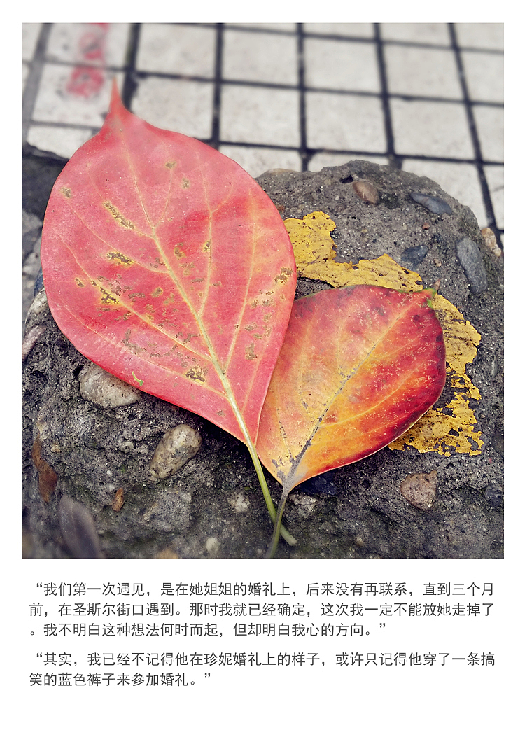 一叶一菩提（图ZMzAzNTg5MjA=） - 其他摄影 - 站酷设计师Missbeard原创素材 - 站酷ZCOOL