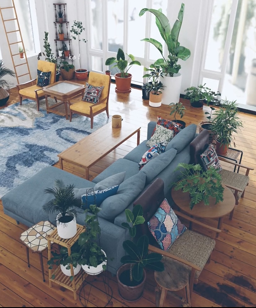 Maya Speedtree Arnold Sp（图ZMzA4MzU3MjE2） - 场景 - 站酷设计师Z221823365原创素材 - 站酷ZCOOL