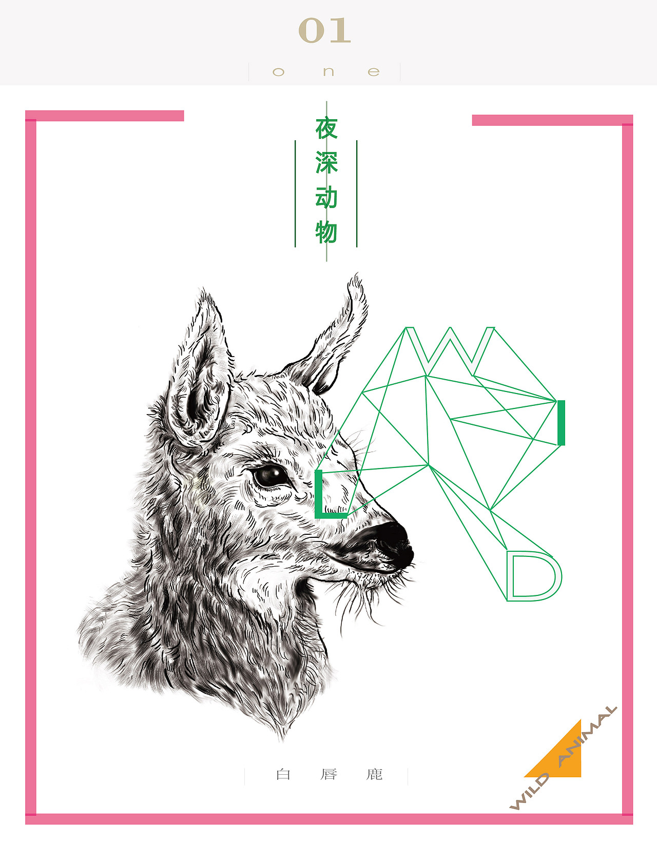《夜深 动物》（图ZNjAxOTU4NTY=） - 概念设定 - 站酷设计师zeroCC原创素材 - 站酷ZCOOL