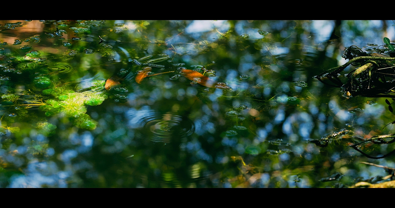 西湖盛宴·餐具（图ZMjk1NDgzMjg0） - 产品摄影 - 站酷设计师izhartursun原创素材 - 站酷ZCOOL