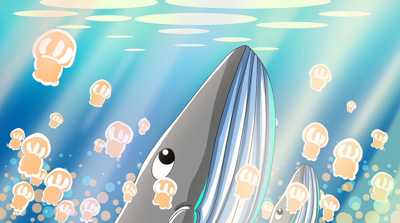 2017—2018动画场景图