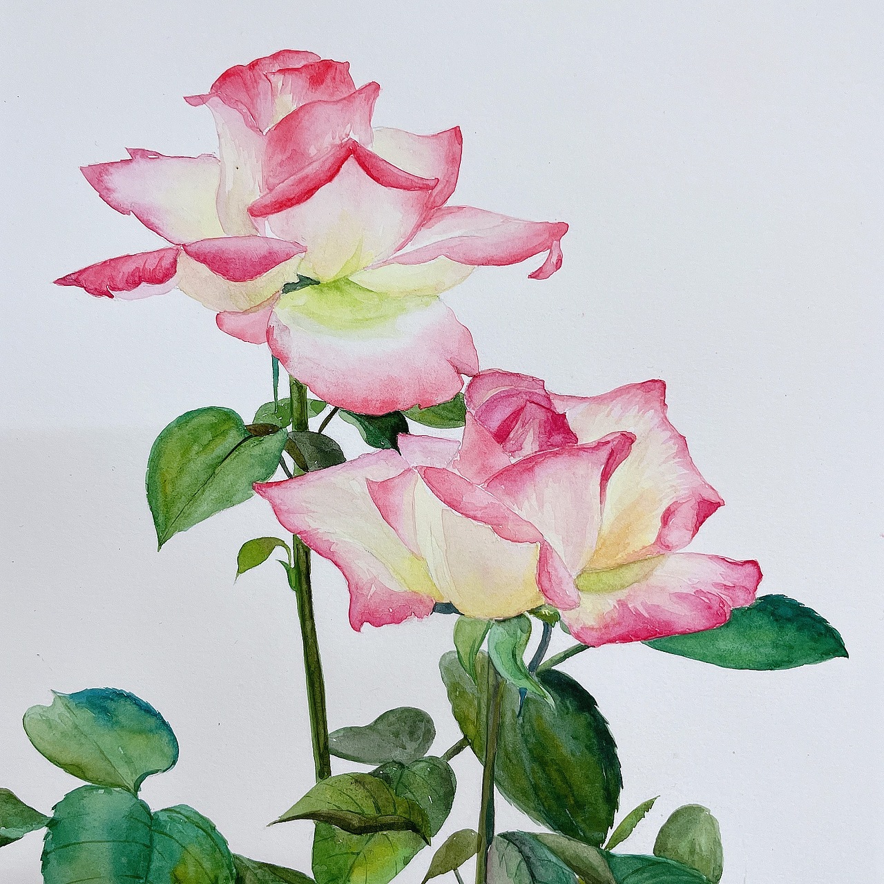 水彩（图ZMjQ0NDQwNTQ0） - 绘画 - 站酷设计师北北是我呀原创素材 - 站酷ZCOOL