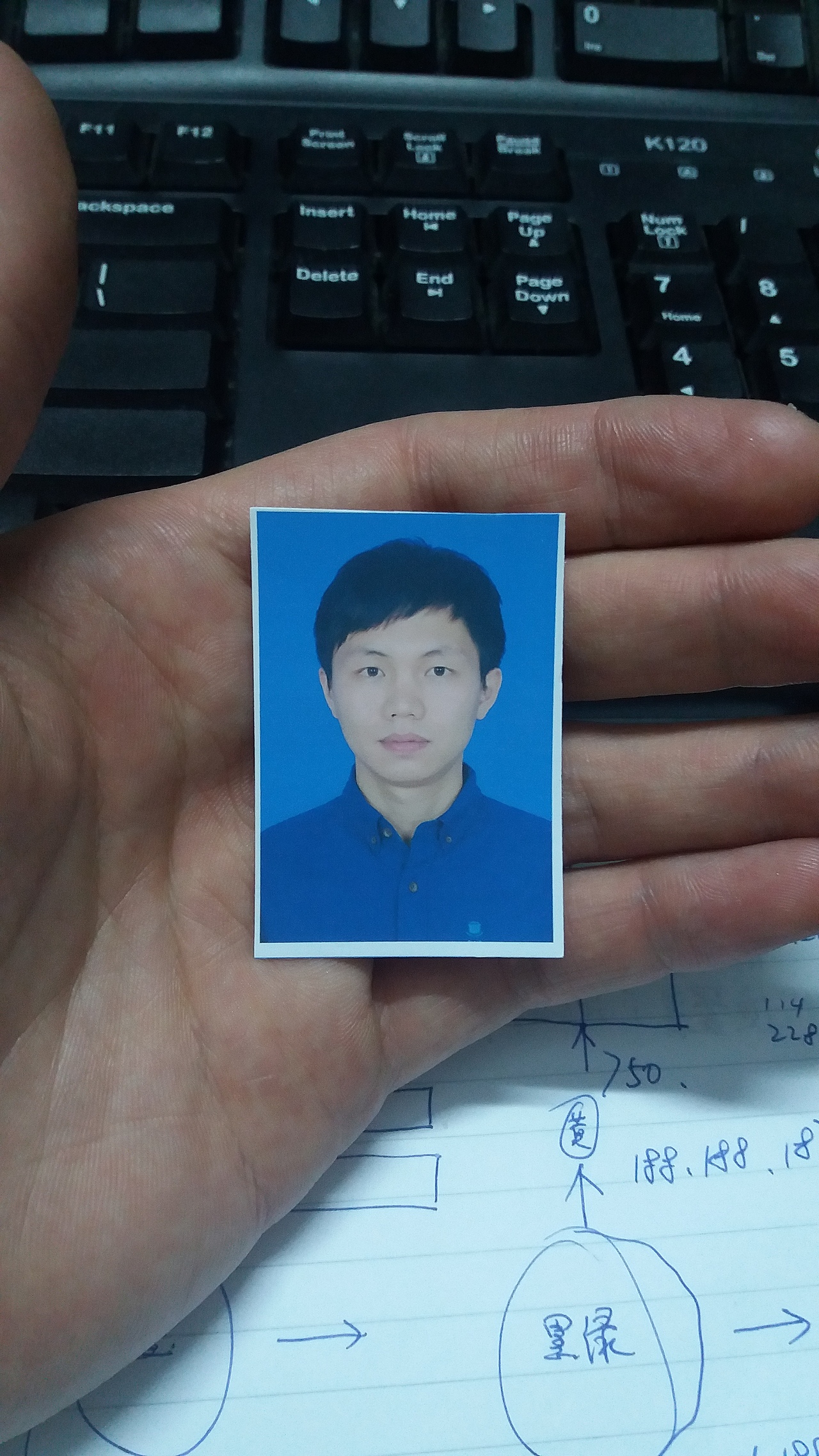 暴晒（图ZNzc0NjMxMDA=） - 其他 - 站酷设计师qiuwanxiao原创素材 - 站酷ZCOOL