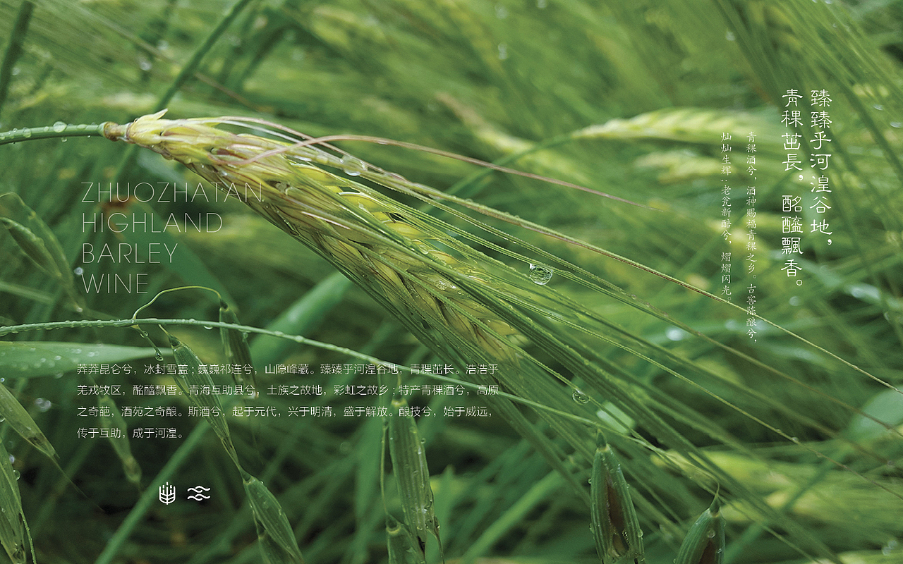 青海卓扎滩原生态系列产品包装方案设计（图ZMTgzNjkxMTAw） - 包装 - 站酷设计师青海明度文化传播原创素材 - 站酷ZCOOL