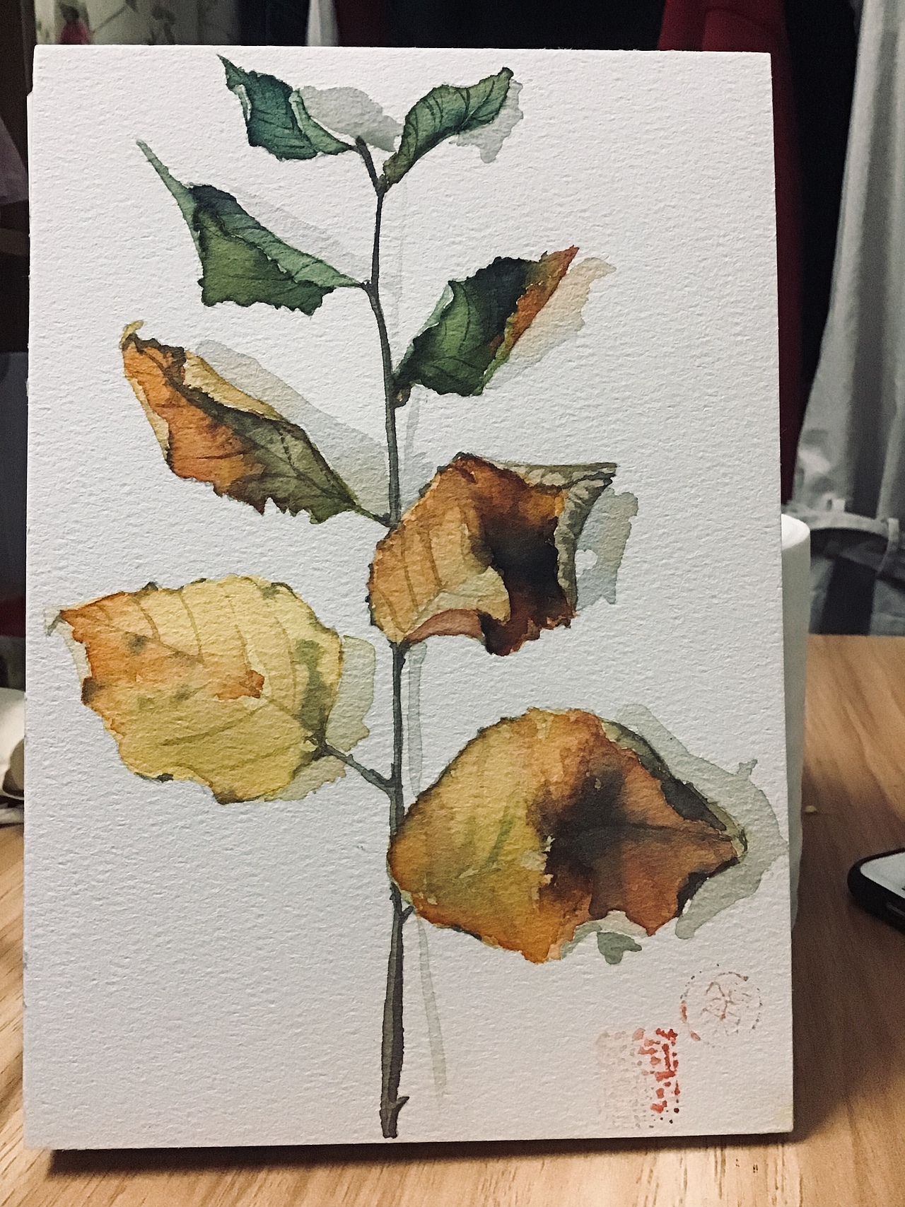 水彩叶子（图ZMTQ4MTc4MjI4） - 创作习作 - 站酷设计师菏欢原创素材 - 站酷ZCOOL